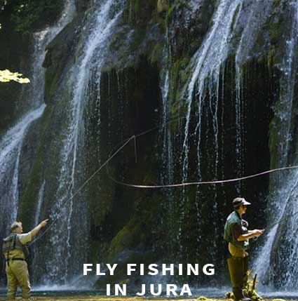 Fly fishing in Jura